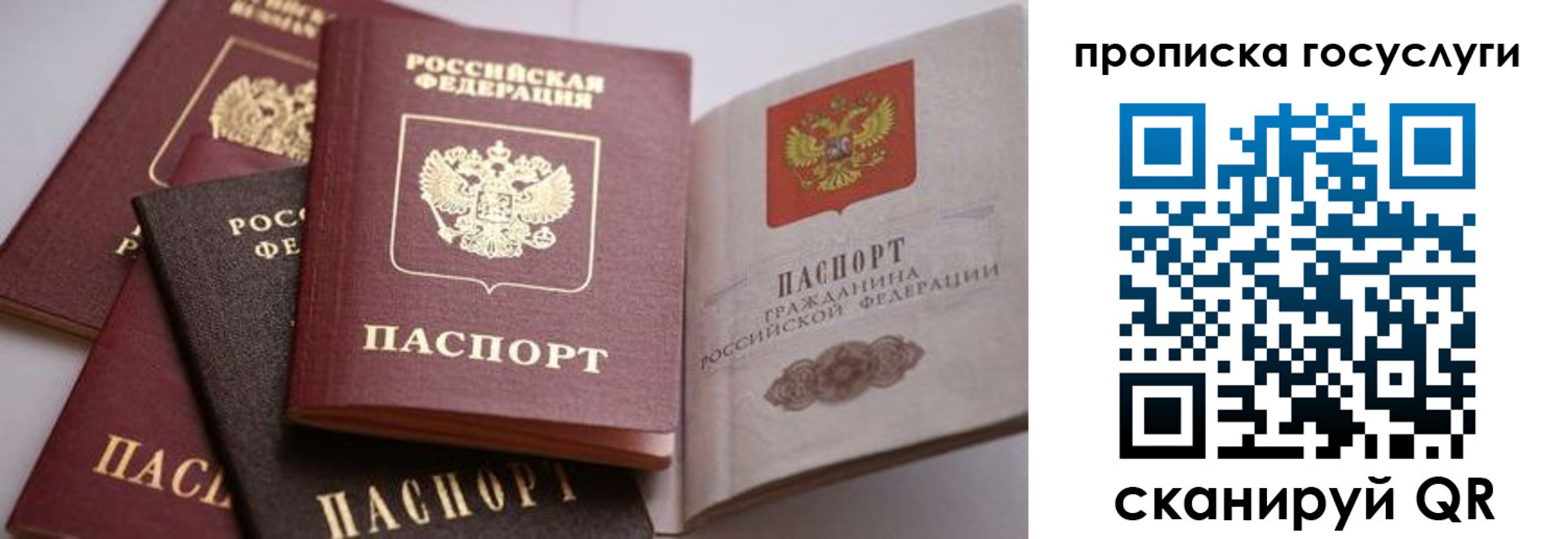 прописка иностранных граждан в Ивановской области